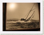 Photo of BlueNose 1 * 2592 x 1944 * (1.16MB)